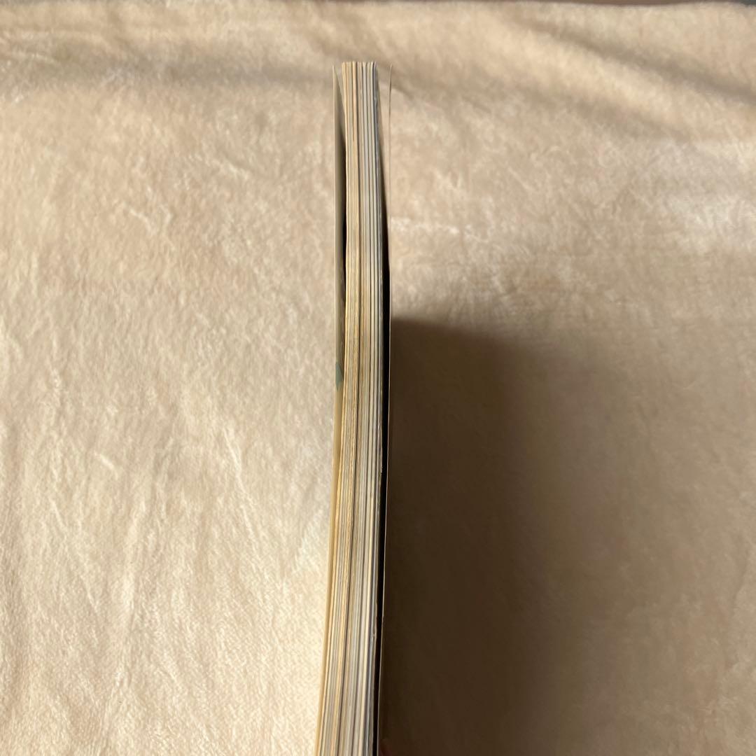 ビデオSALON ビデオサロン 1993年1月号 松嶋菜々子