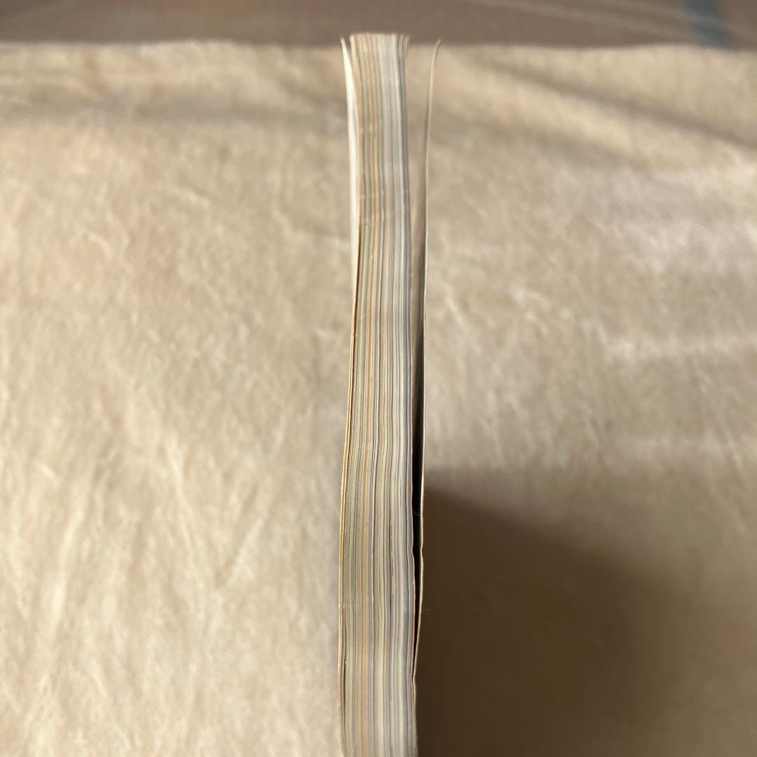 ビデオSALON ビデオサロン 1993年1月号 松嶋菜々子