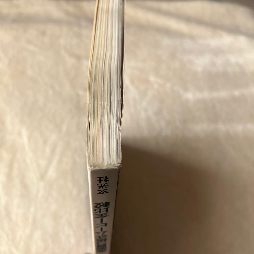 ビデオSALON ビデオサロン 1993年1月号 松嶋菜々子