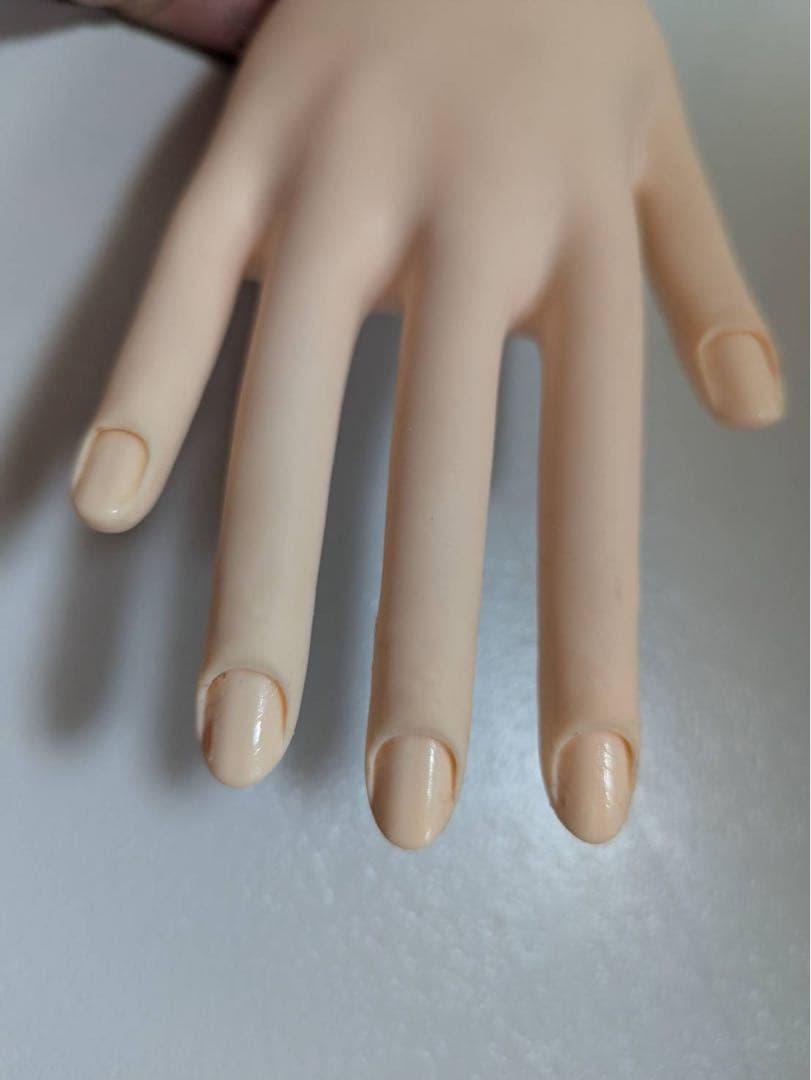 ネイリスト技能検定試験　JNEC認定モデルハンド　4本　3級2級1級テキスト