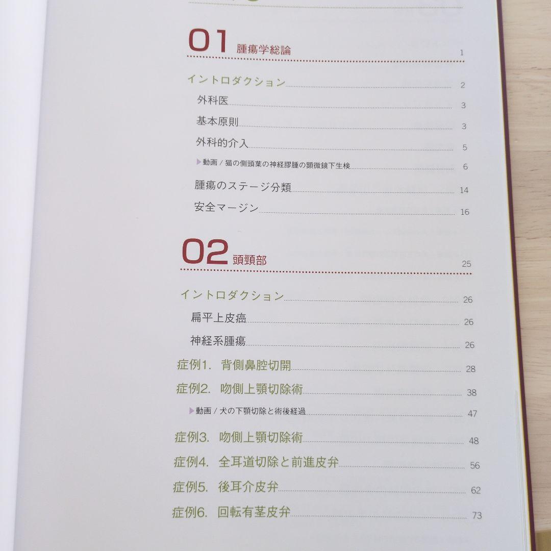 獣医腫瘍外科Surgical Oncology