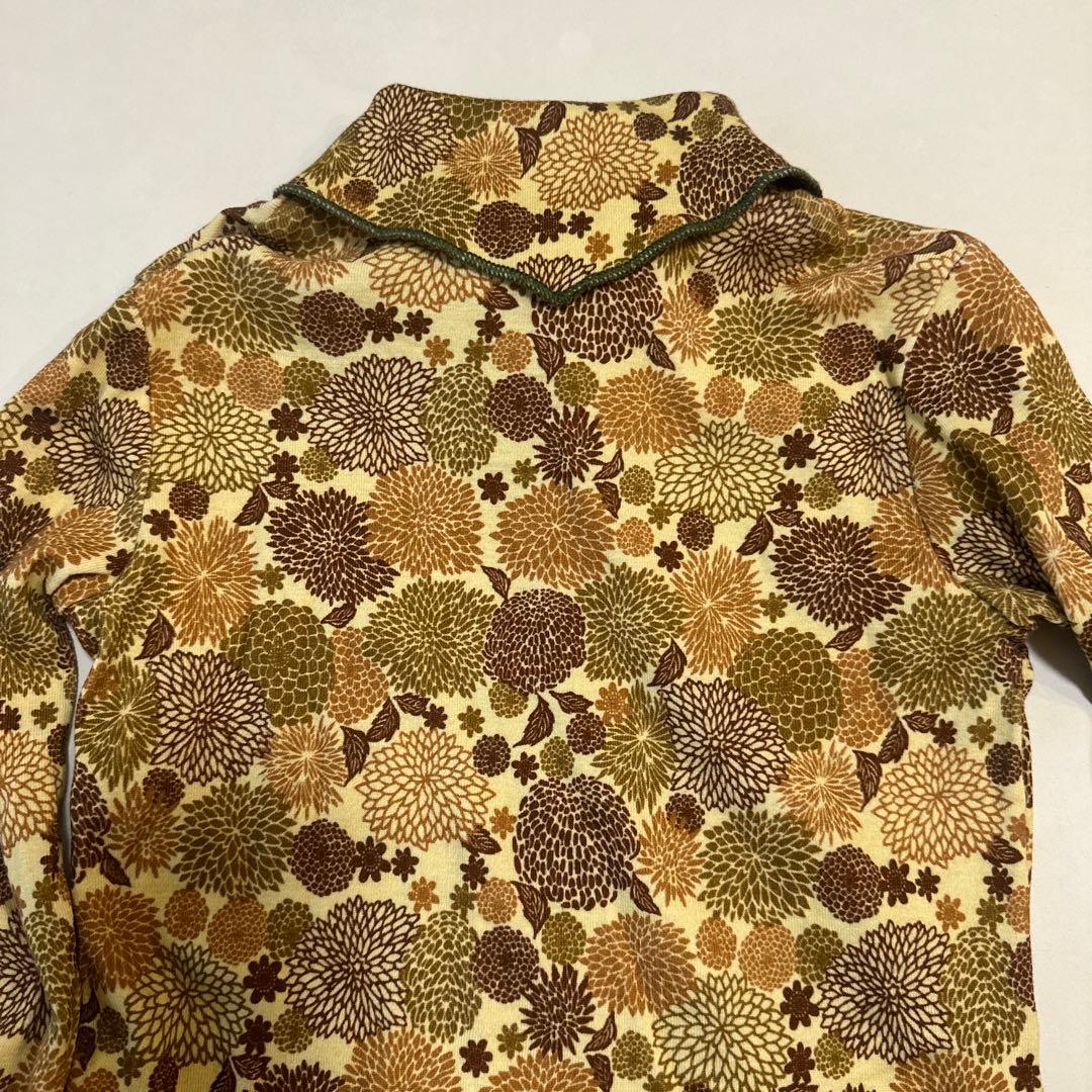 Misha & Puff Acorn Chrysanthemum スカウト 5y