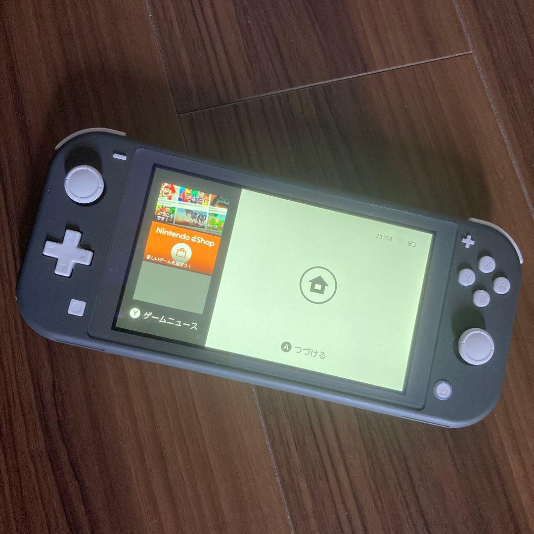 Nintendo Switch Lite + Splatoon 2 + ケース