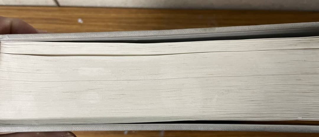 BEUYS ZU Ehren・作品集・ドイツ語