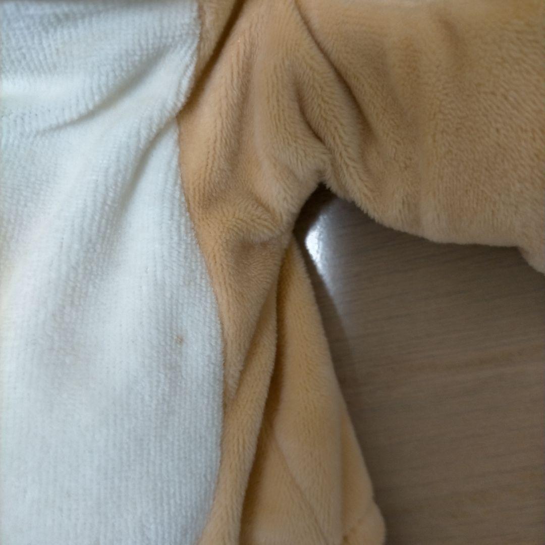 DWE　Zippy and Me DVD CD・ぬいぐるみ・帽子・時計・ガイド付