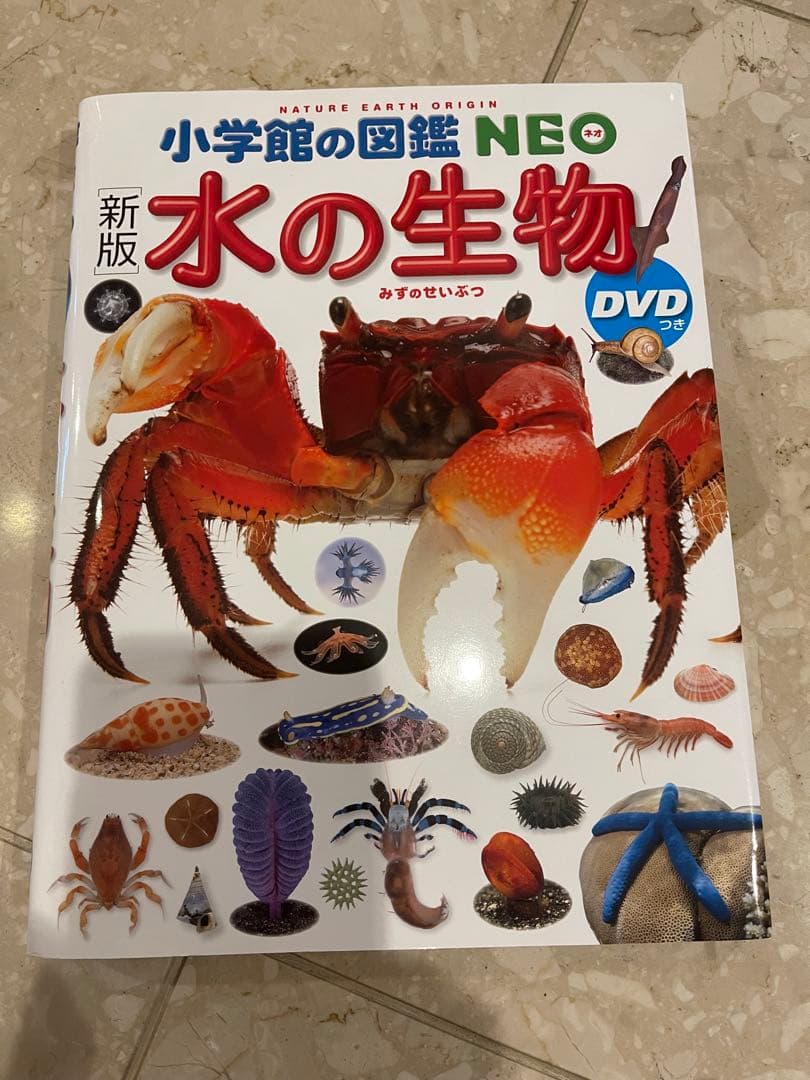 のり❤️美品でお得❤️小学館の図鑑NEO8冊セット