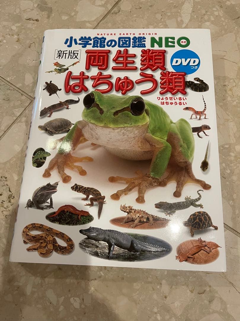 のり❤️美品でお得❤️小学館の図鑑NEO8冊セット