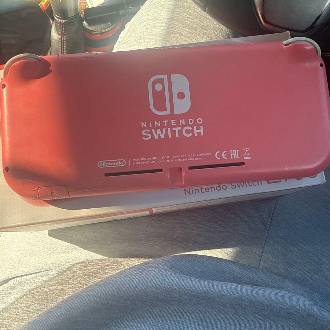 Switchライト充電器付き