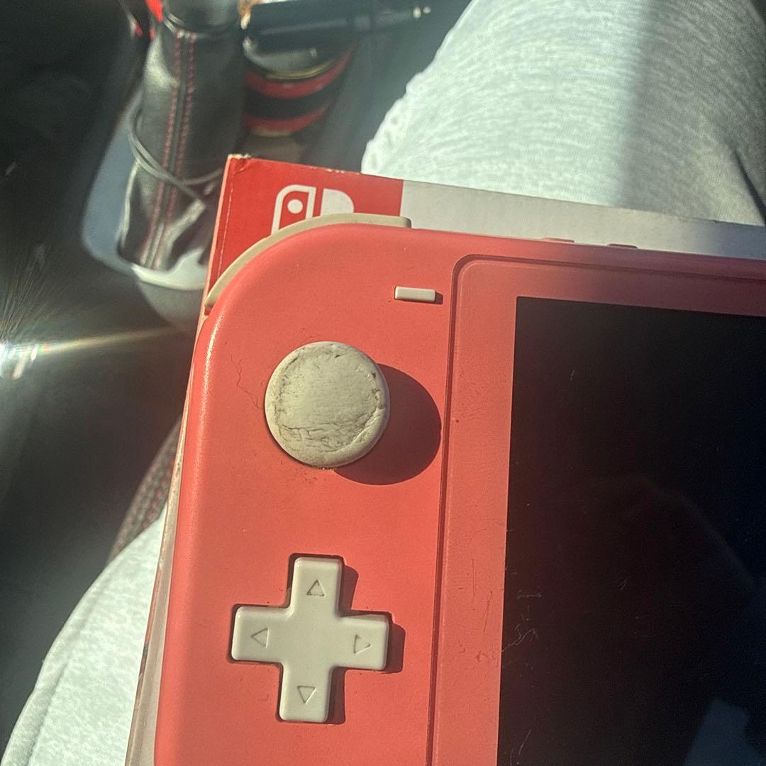 Switchライト充電器付き