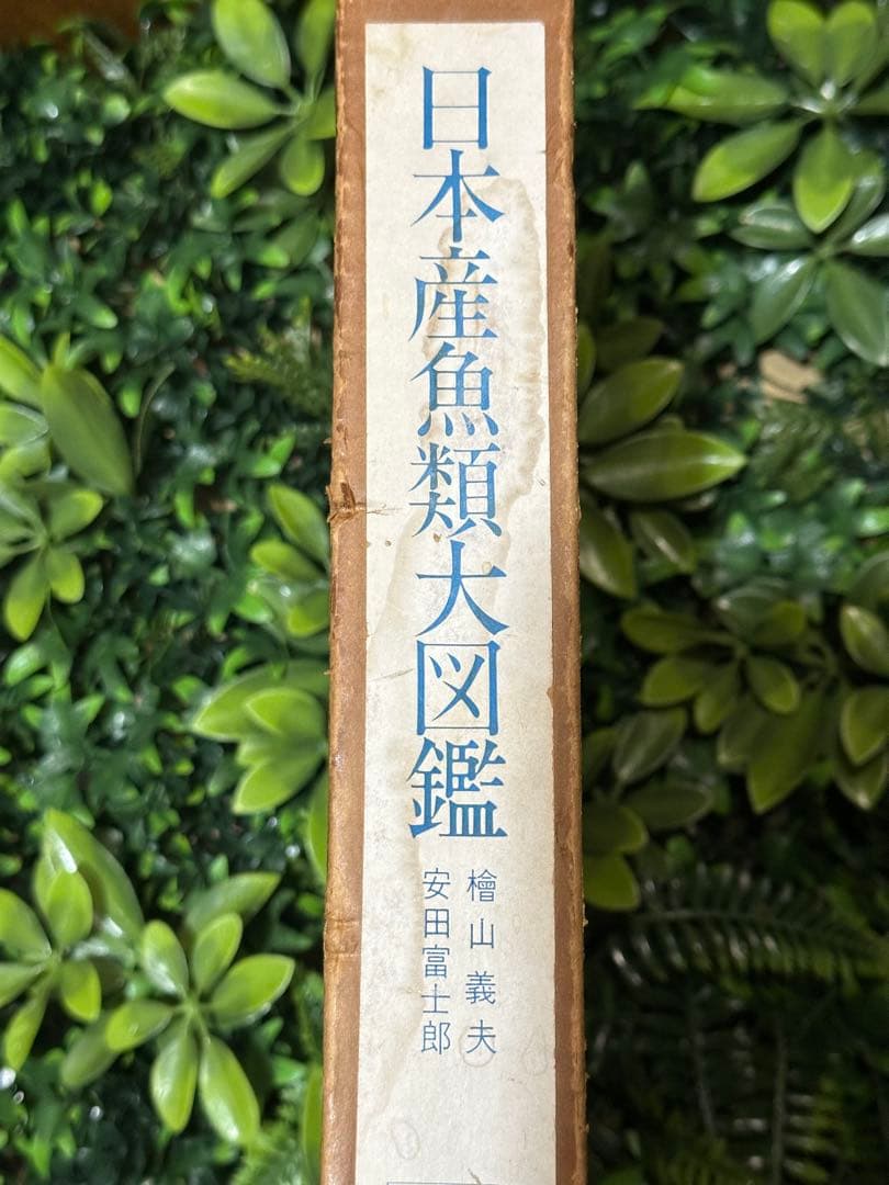 日本産魚類大図鑑 檜山義夫 安田富士郎 講談社 1971年初版 図版多数 外箱付