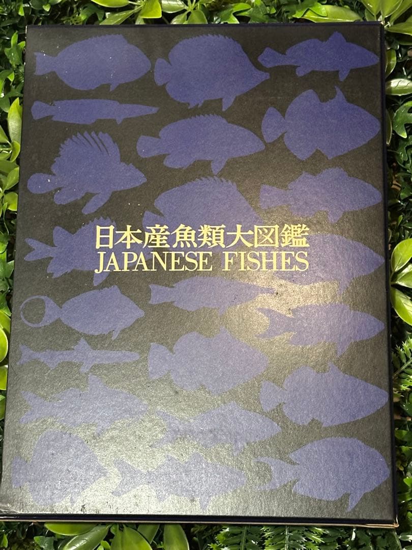 日本産魚類大図鑑 檜山義夫 安田富士郎 講談社 1971年初版 図版多数 外箱付