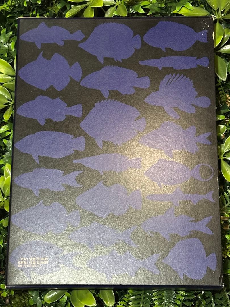 日本産魚類大図鑑 檜山義夫 安田富士郎 講談社 1971年初版 図版多数 外箱付