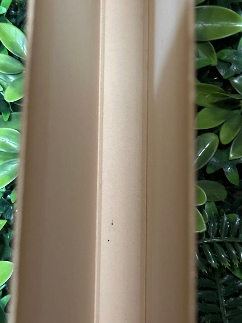 日本産魚類大図鑑 檜山義夫 安田富士郎 講談社 1971年初版 図版多数 外箱付