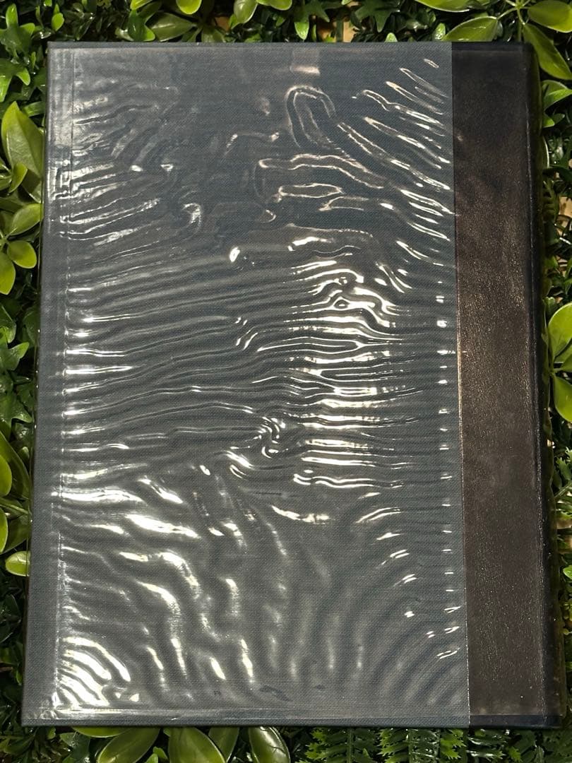 日本産魚類大図鑑 檜山義夫 安田富士郎 講談社 1971年初版 図版多数 外箱付