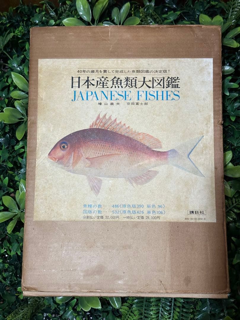 日本産魚類大図鑑 檜山義夫 安田富士郎 講談社 1971年初版 図版多数 外箱付
