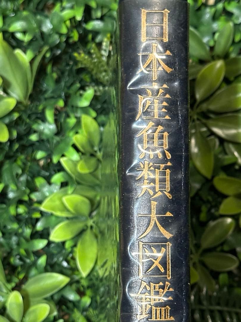 日本産魚類大図鑑 檜山義夫 安田富士郎 講談社 1971年初版 図版多数 外箱付