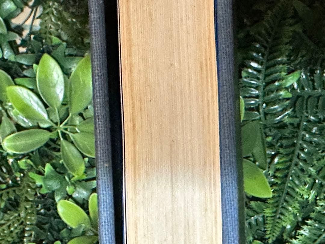 日本産魚類大図鑑 檜山義夫 安田富士郎 講談社 1971年初版 図版多数 外箱付