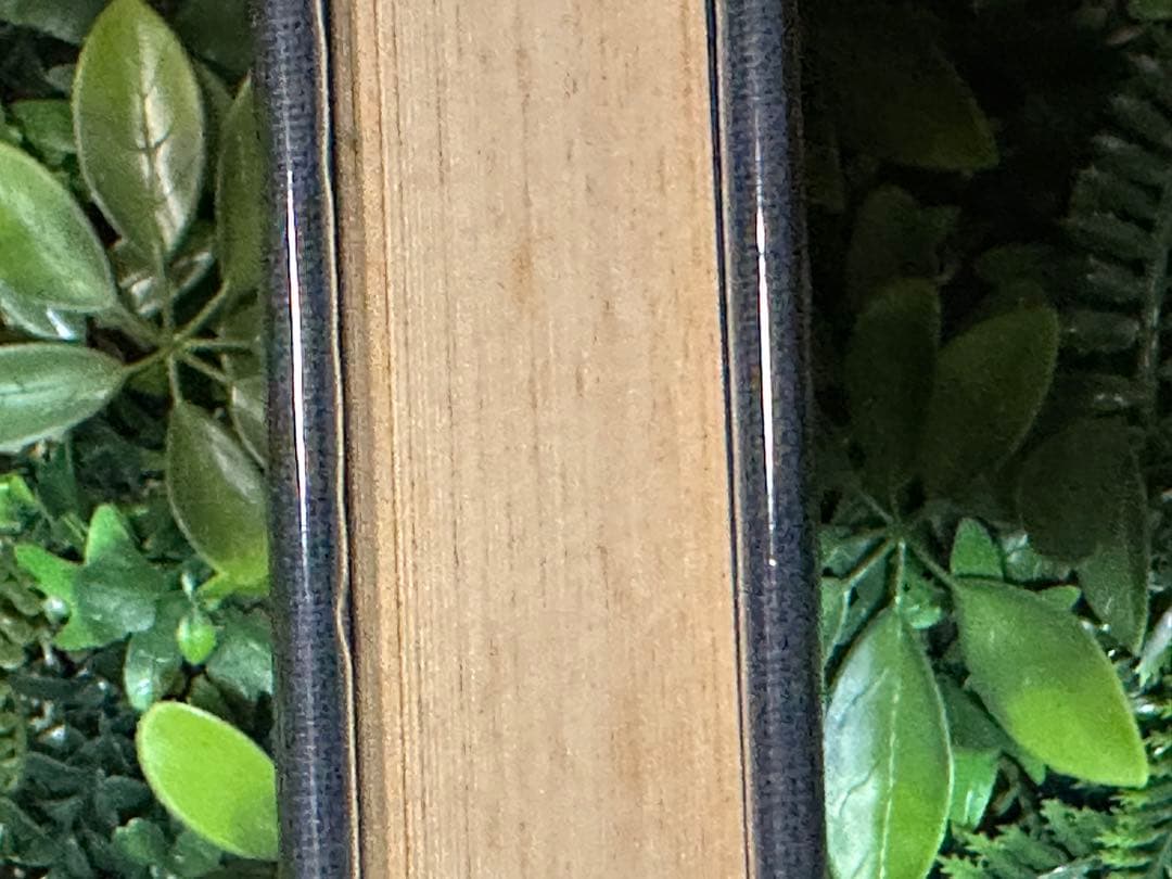 日本産魚類大図鑑 檜山義夫 安田富士郎 講談社 1971年初版 図版多数 外箱付