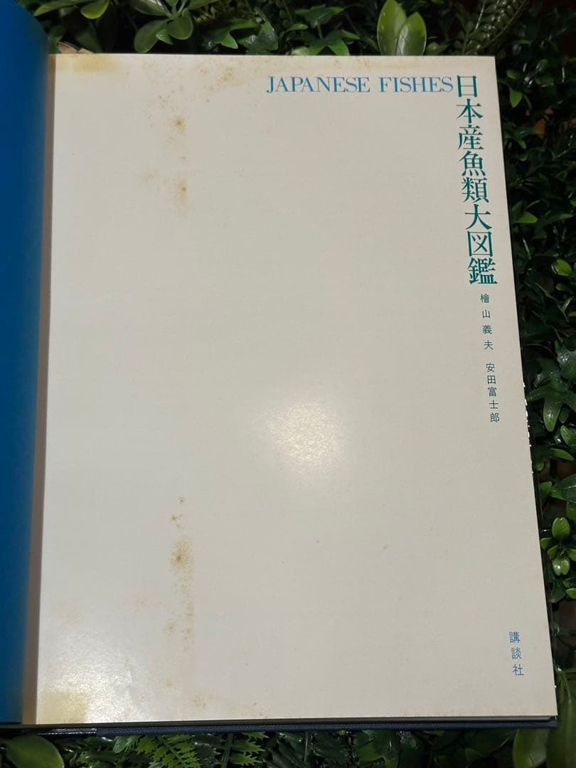 日本産魚類大図鑑 檜山義夫 安田富士郎 講談社 1971年初版 図版多数 外箱付