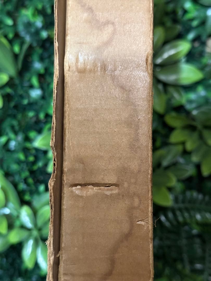 日本産魚類大図鑑 檜山義夫 安田富士郎 講談社 1971年初版 図版多数 外箱付