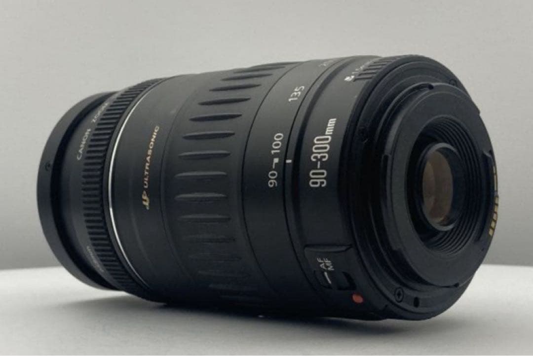 ☆美品☆望遠レンズ☆Canon EF 90-300mm F4.5-5.6 USM