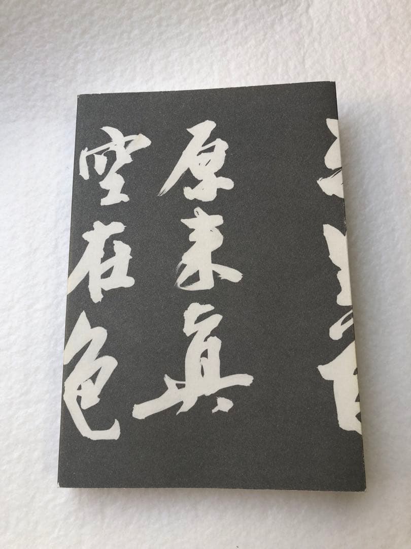 気功革命 秘伝奥義 集大成 盛鶴延