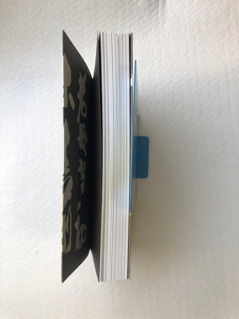 気功革命 秘伝奥義 集大成 盛鶴延