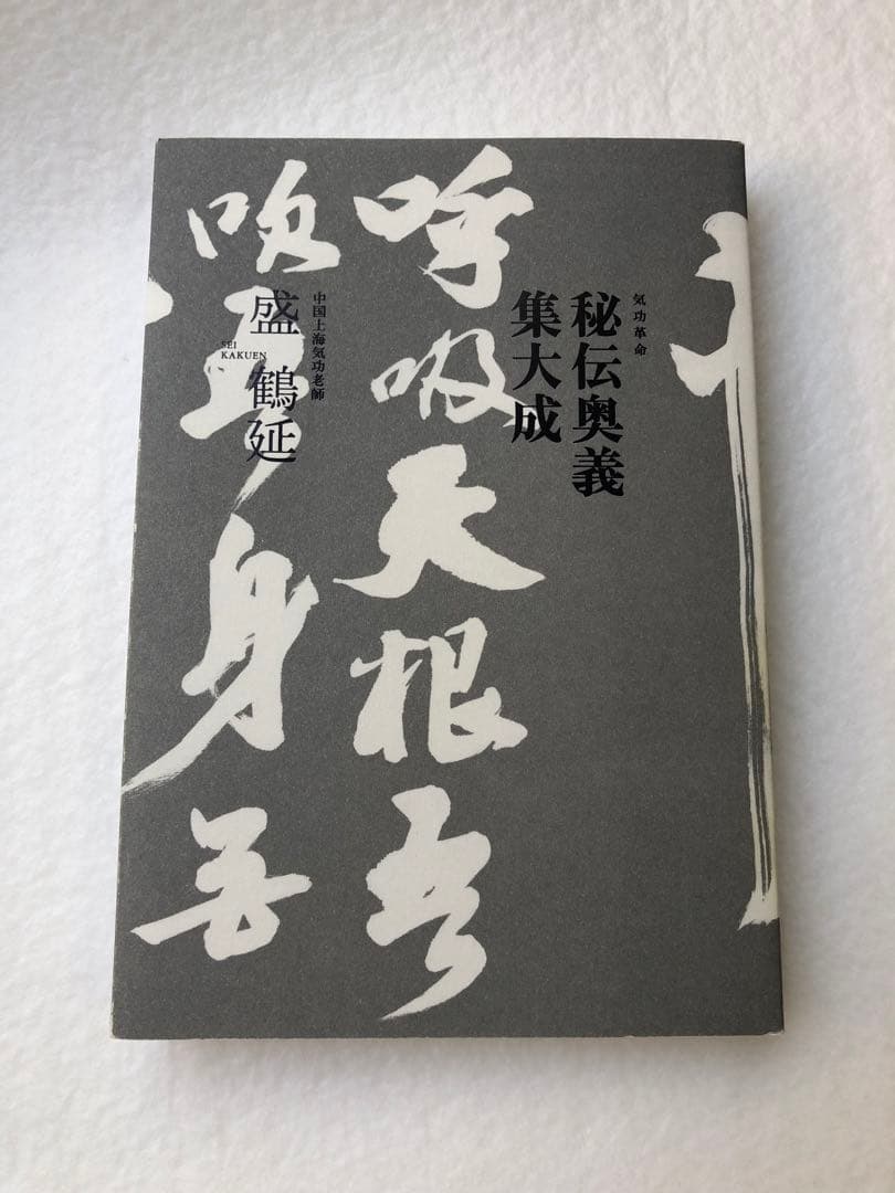 気功革命 秘伝奥義 集大成 盛鶴延