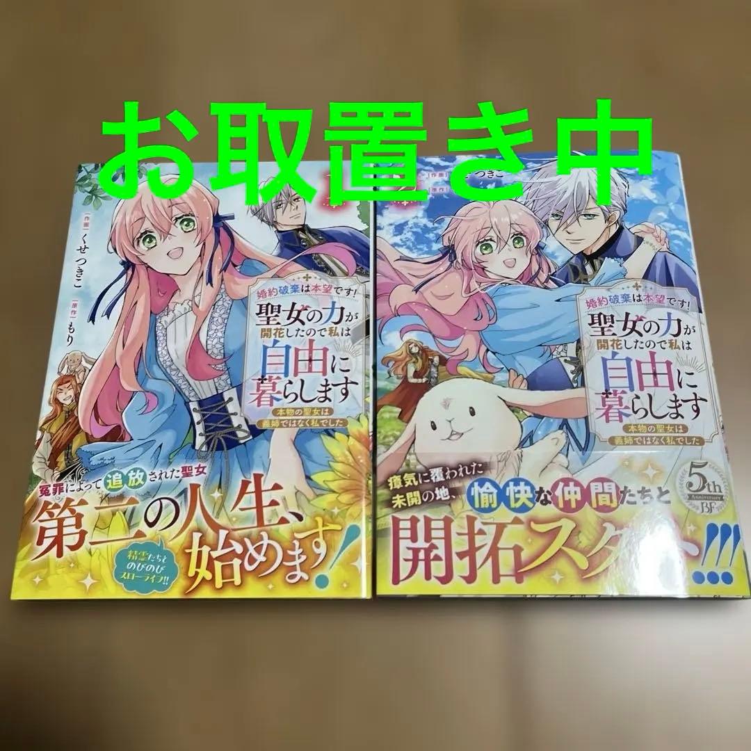 婚約破棄は本望です!聖女の力が開花したので私は自由に暮らします～本物の聖女は義…