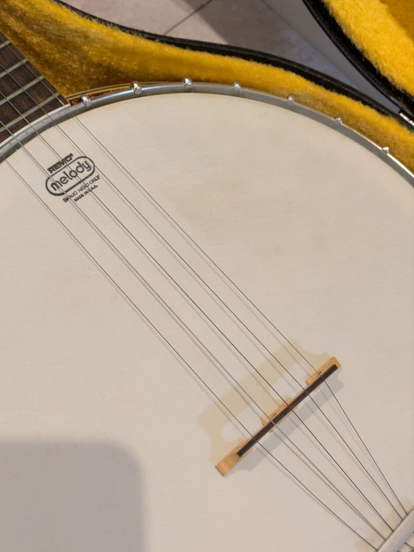 Tenesy 5弦バンジョー ケース付き