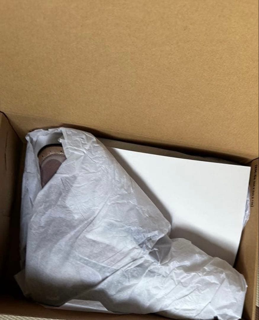 MIZUNOボクシングシューズ WAVE MONSTER 25cm