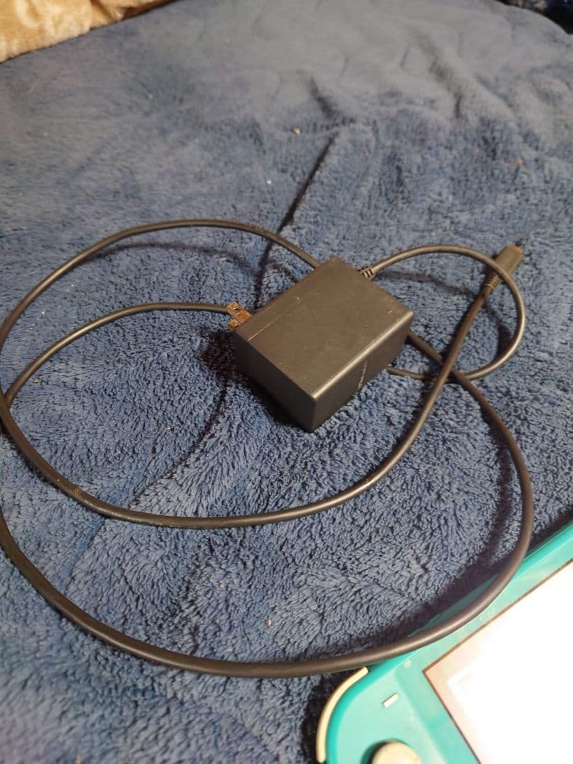 Nintendo Switch Liteターコイズ　充電器、64GBSD付き中古