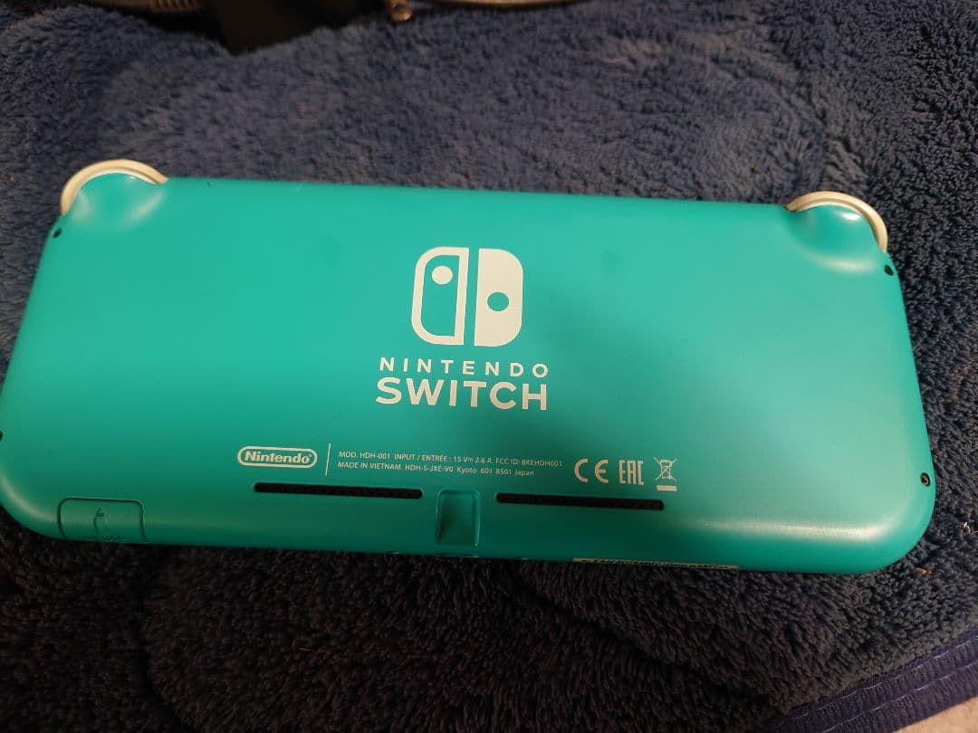 Nintendo Switch Liteターコイズ　充電器、64GBSD付き中古