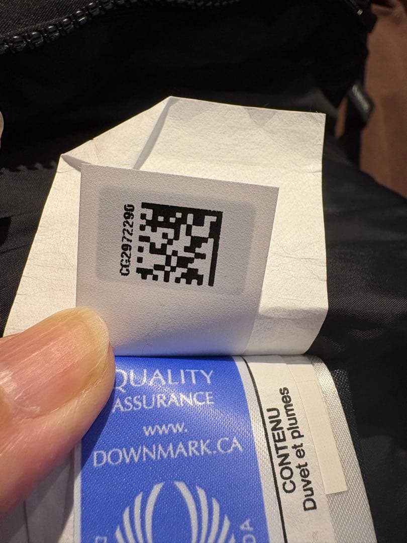   Arctic Program ダウンベスト ブラック