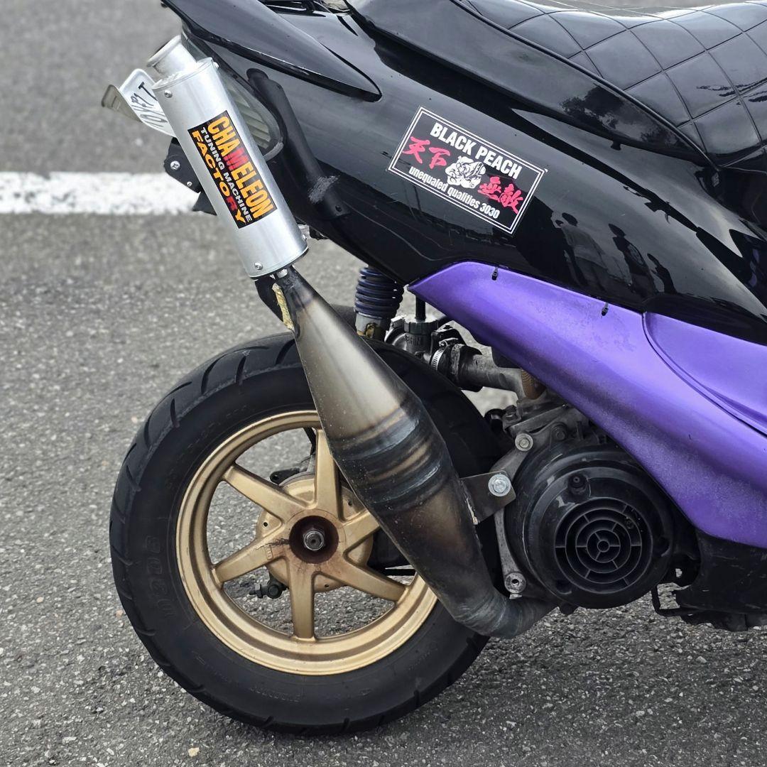 カメレオンファクトリーパラライザー3 AF34 AF35 ライブディオZX SR