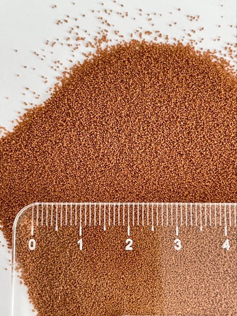 科学飼料研究所 リッチB 2kg× 2 メダカ エサ