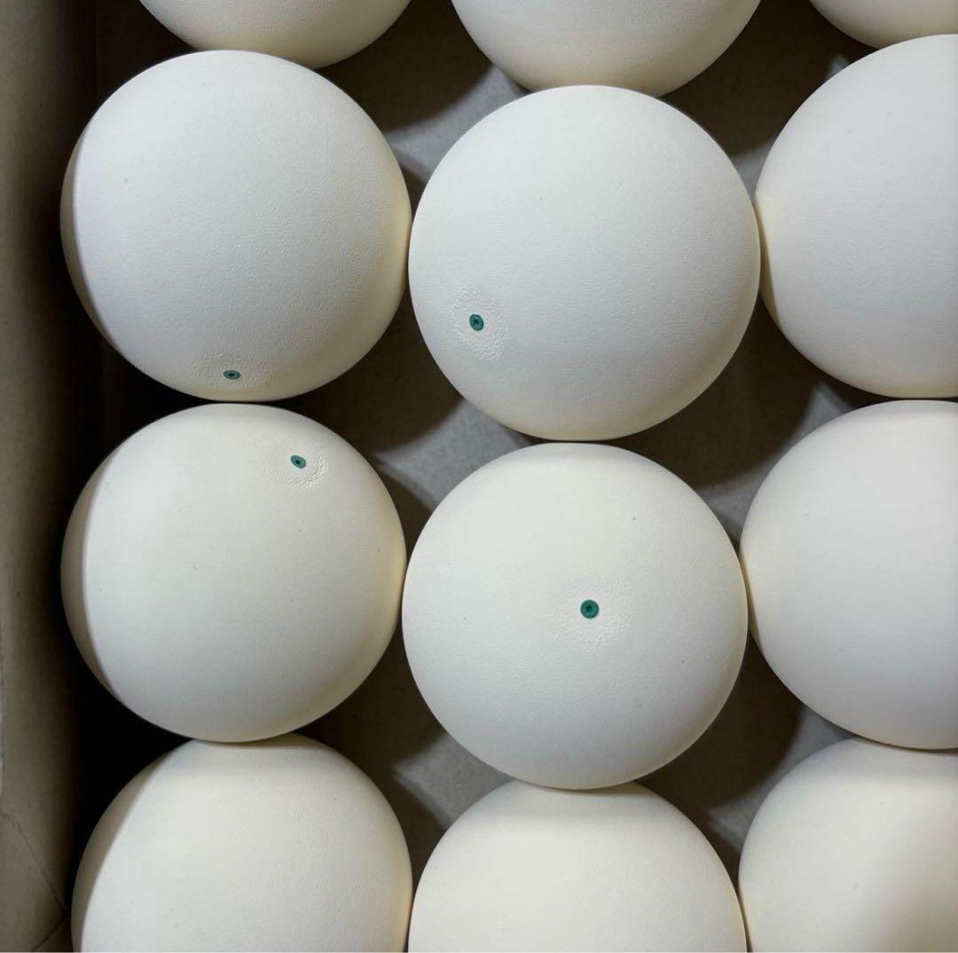 【人気商品】ソフトテニス ボール 60球 新品