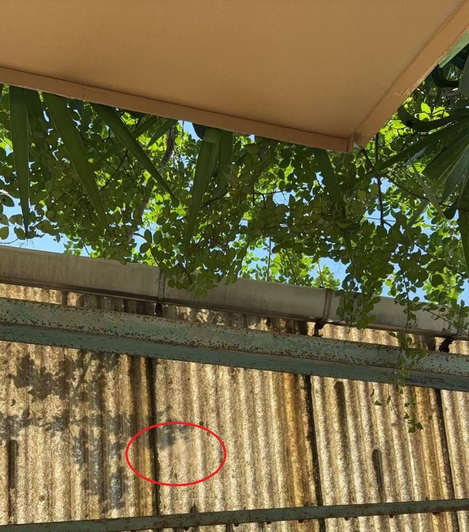 【美品】ダンスミラー 割れない鏡 幅100x160cm 姿見 黒色 5番