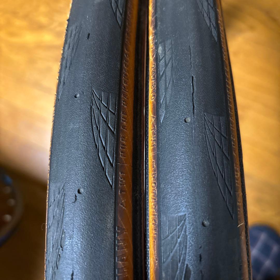 コンチネンタル　グランプリ5000 トランスペアレント茶色