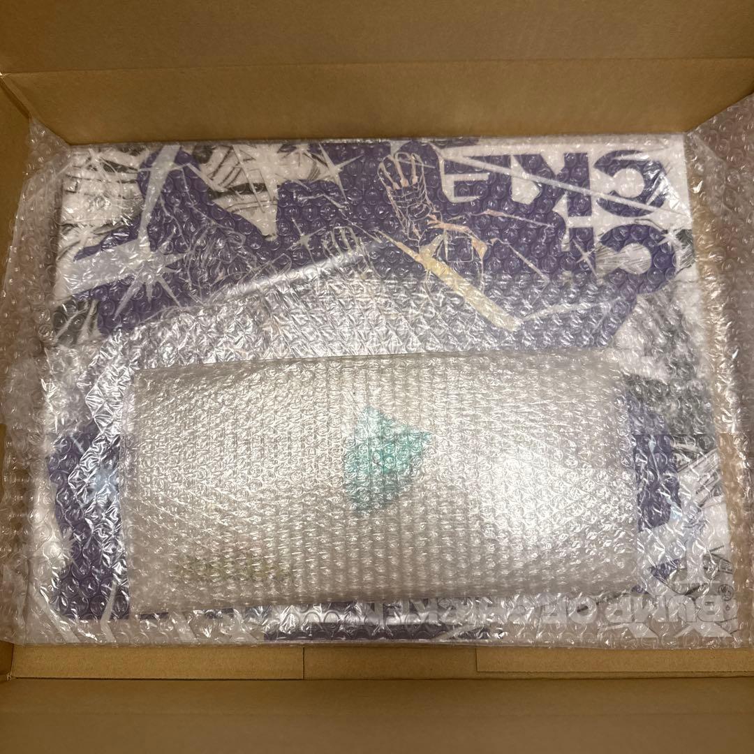 TOY'S STORE 限定品 BUMP OF CHICKEN シリアルコード付