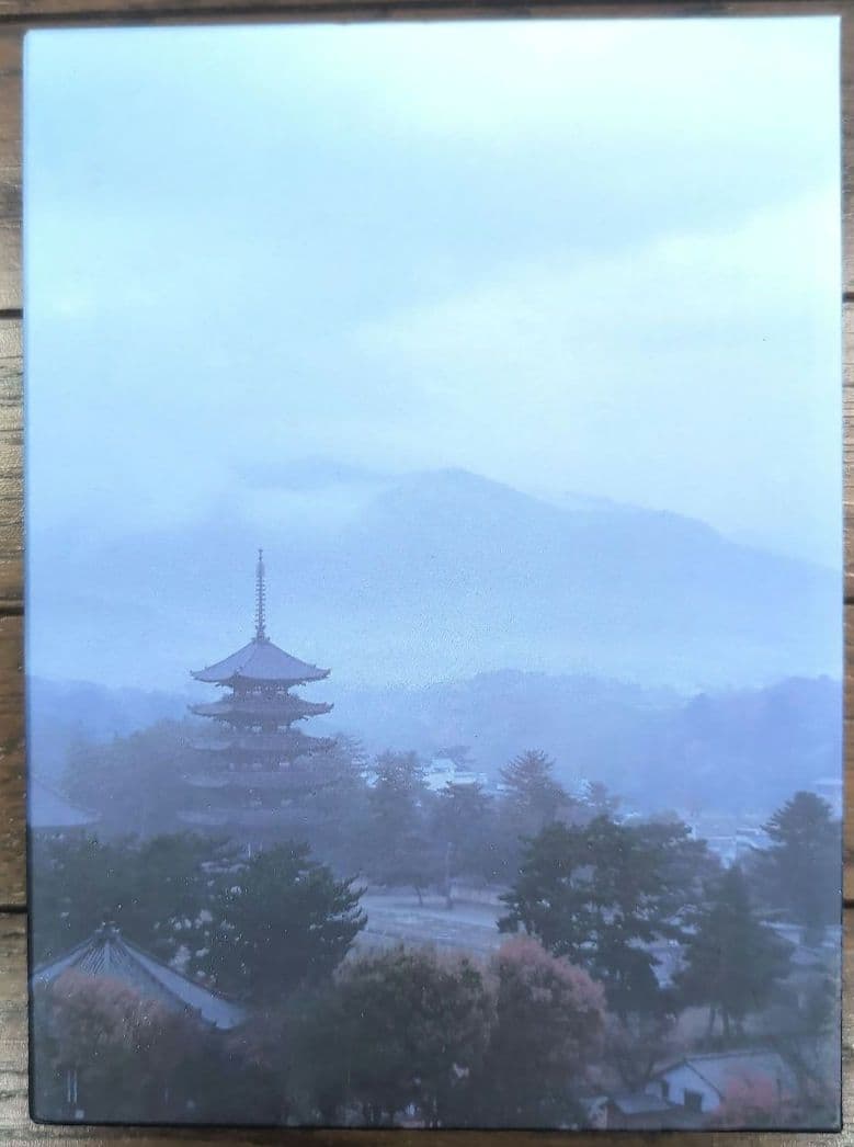 鹿男あをによし DVD-BOX ディレクターズカット完全版〈6枚組〉