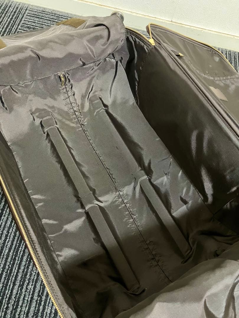 Louis Vuitton ルイヴィトン　ダミエ　キャリーケース ペガス55