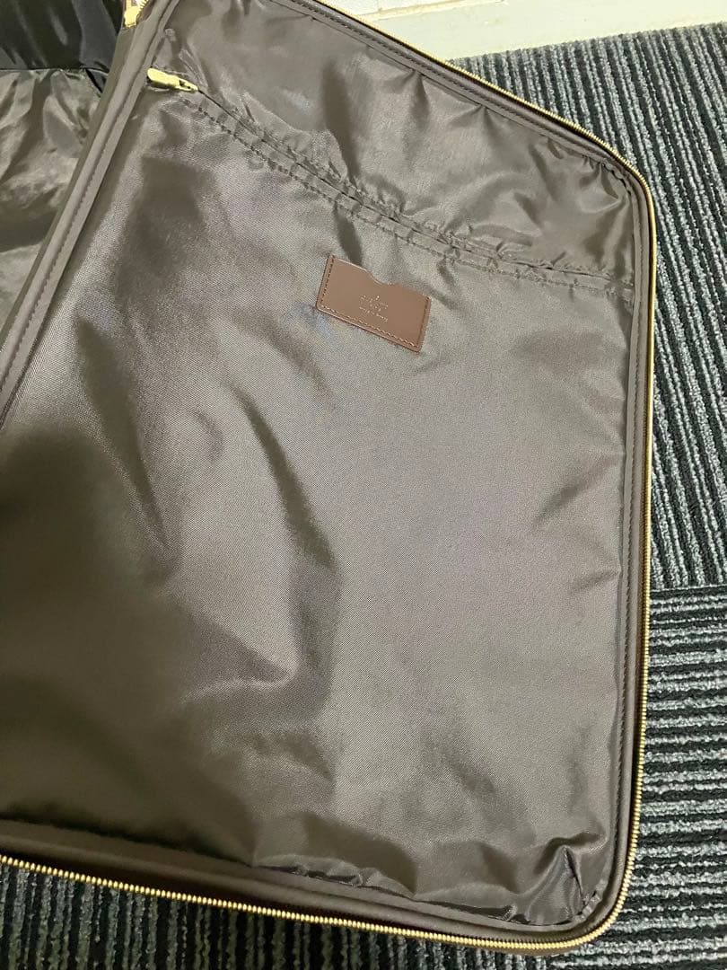 Louis Vuitton ルイヴィトン　ダミエ　キャリーケース ペガス55