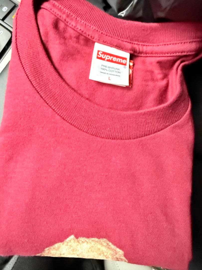 supreme Dust Tee Cardinal Lサイズ
