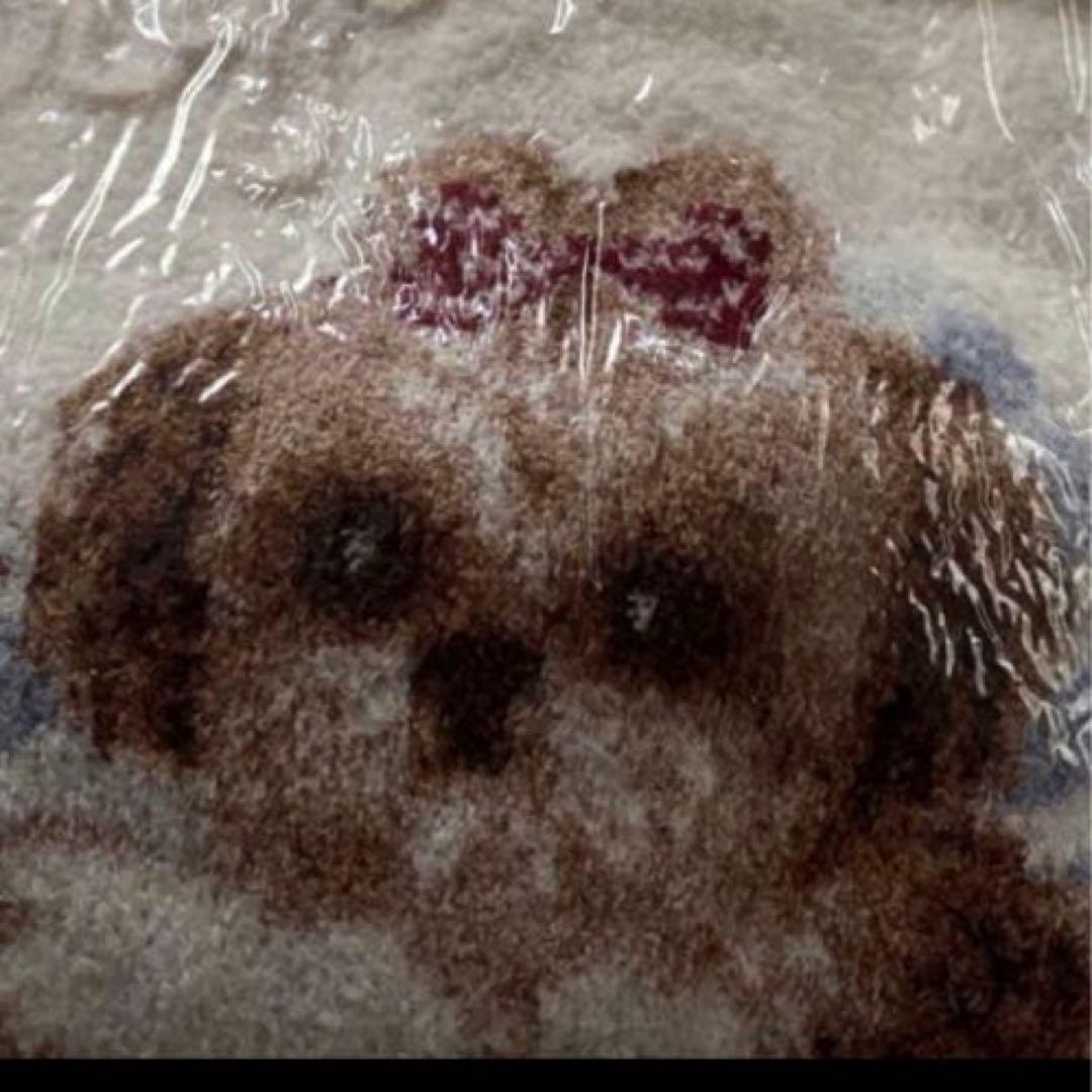 新品タグ付 ジェラートピケ シーズージャガード ワンピース