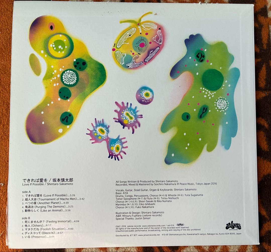 坂本慎太郎レコード、できれば愛を