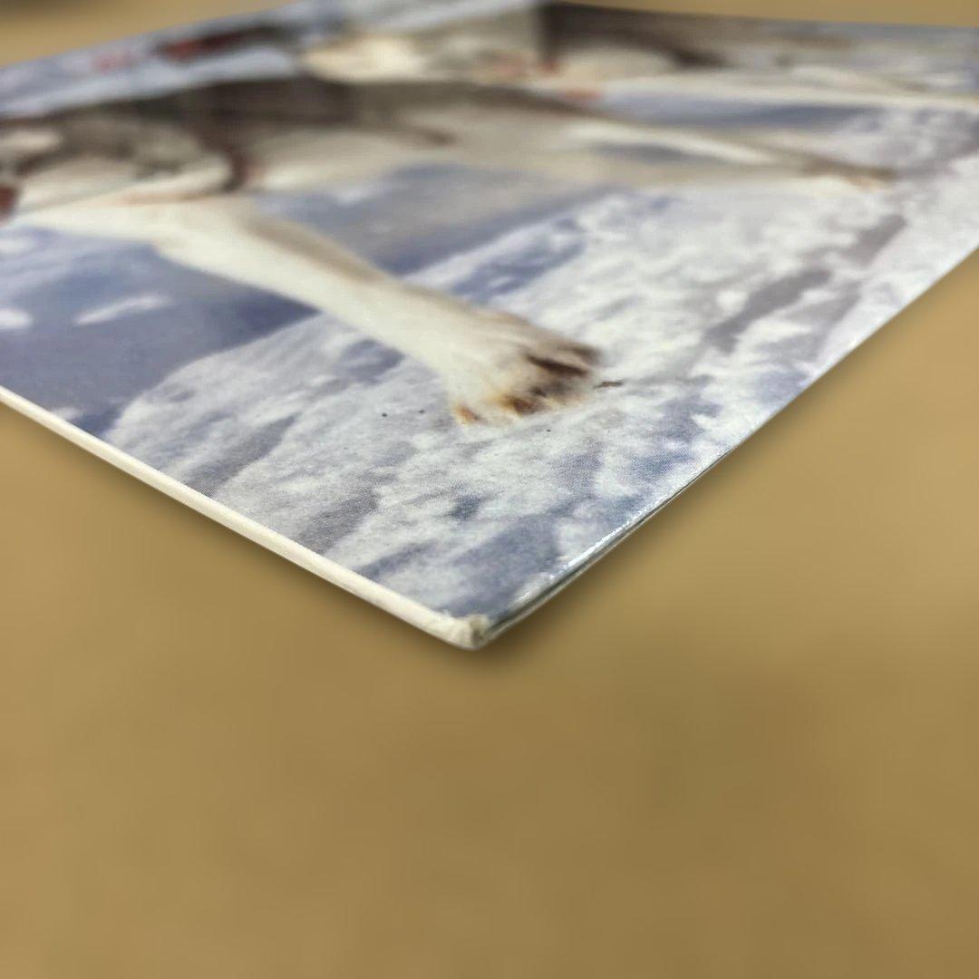 ⭐︎激レア盤⭐︎Jon Ice / Theme From Antartica（美品）