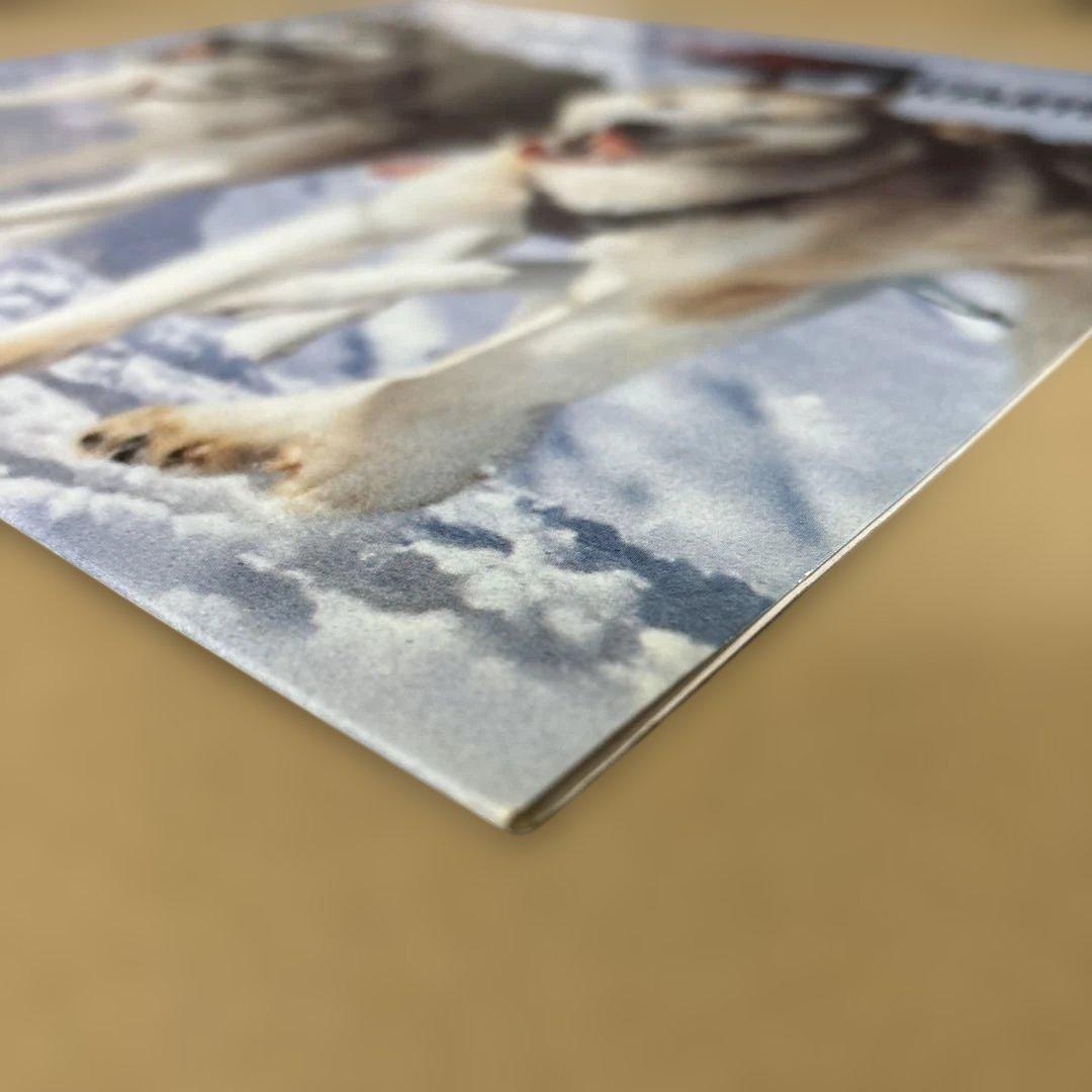 ⭐︎激レア盤⭐︎Jon Ice / Theme From Antartica（美品）