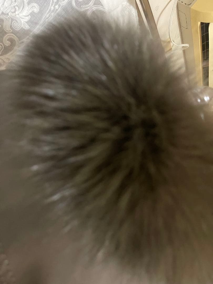 BALLSEY 羊革　フォックス　ノーカラ　ジャケット