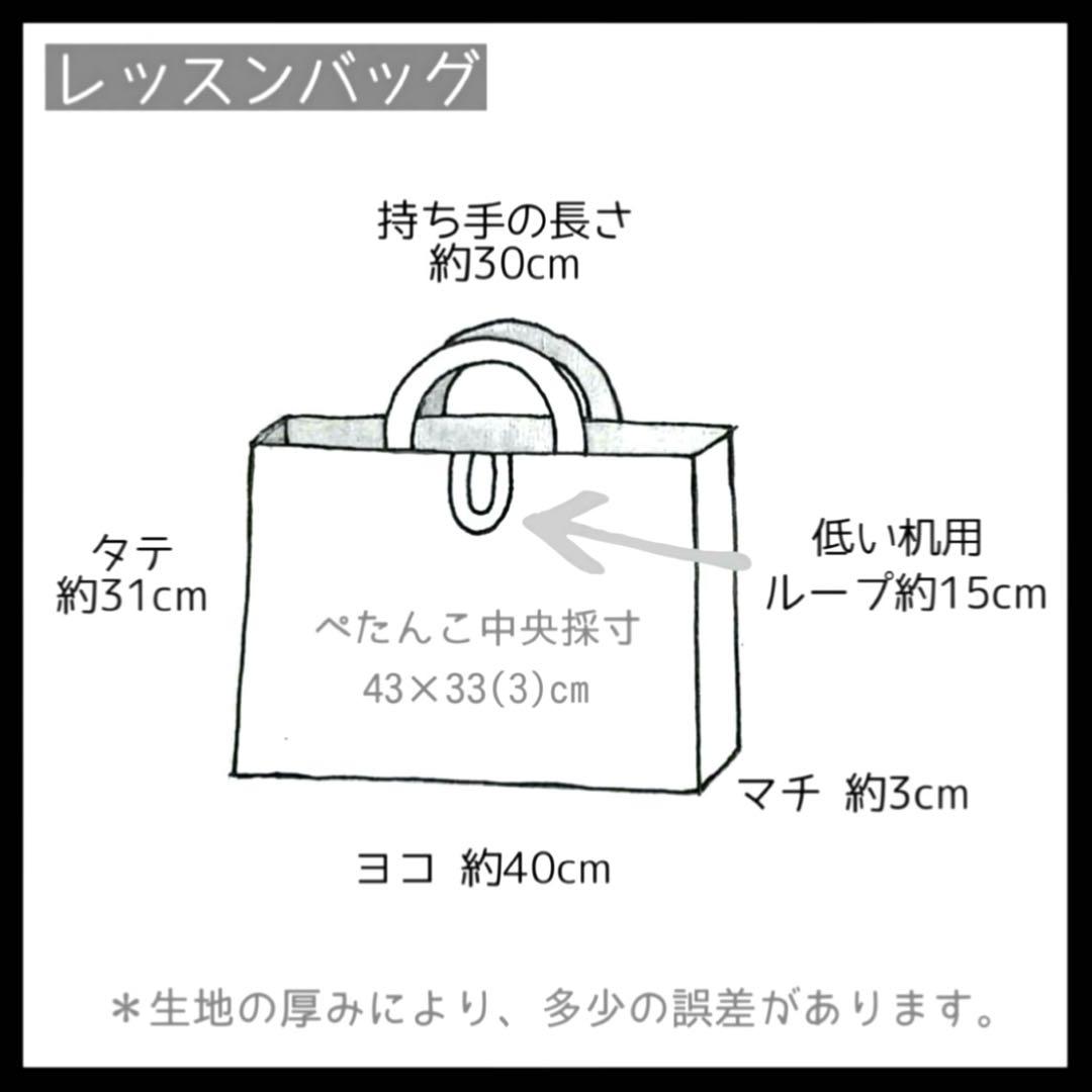 女の子 レッスンバッグ 上靴入れ 体操着袋 巾着袋 メルヘン 入園入学セット